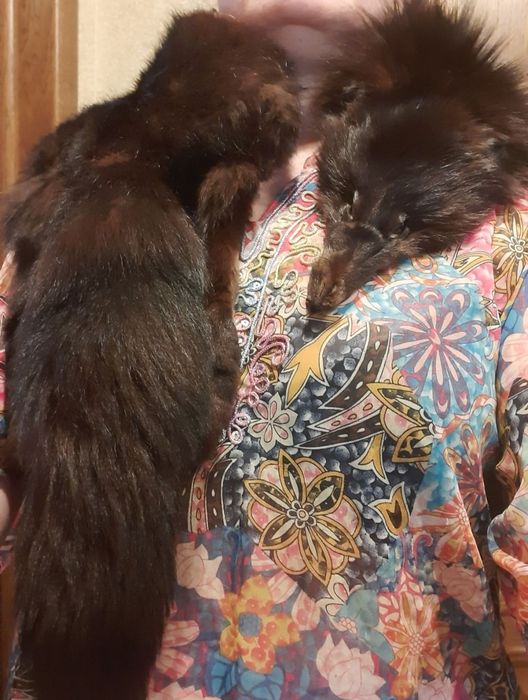 Черная лиса воротник.