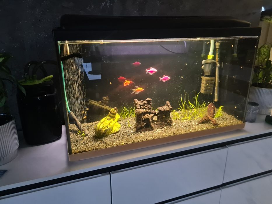 Akwarium 120l filtr zewnętrzny grzałka napowietrzacz  zostaw