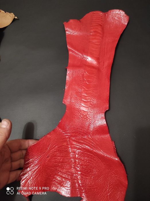 Кожа лап страуса