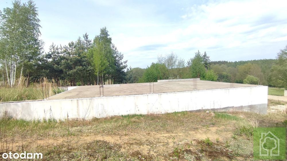 Działka, Sikory