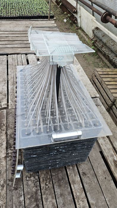 Siewnik do warzyw multiplaty 96