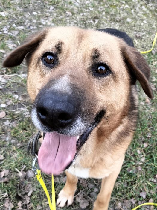 Baron czeka na odpowiedzialnego człowieka