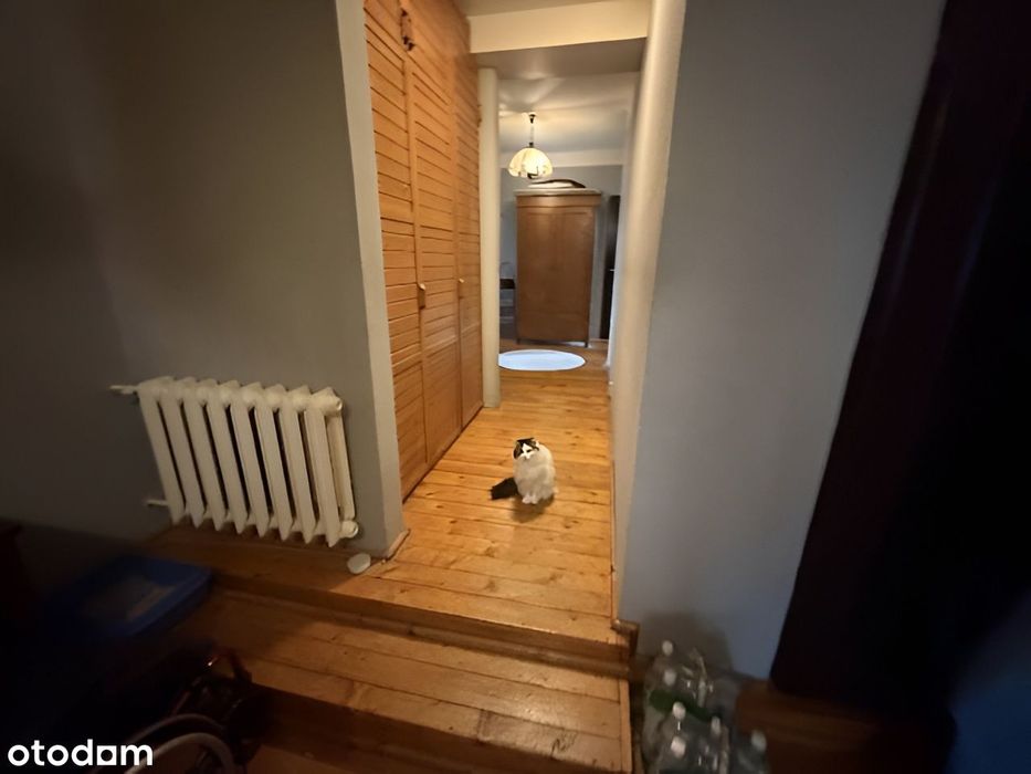 Lokal mieszkalny 14, 195.78 m² przy ulicy Kraszewskiego