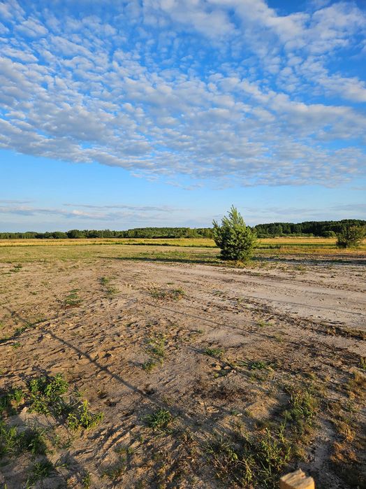 Działka rekreacyjno-budowlana Grabów Zaleśny 1047m Media 50km od W-wy