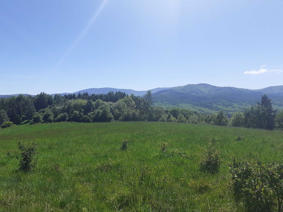Domek letniskowy na odludziu