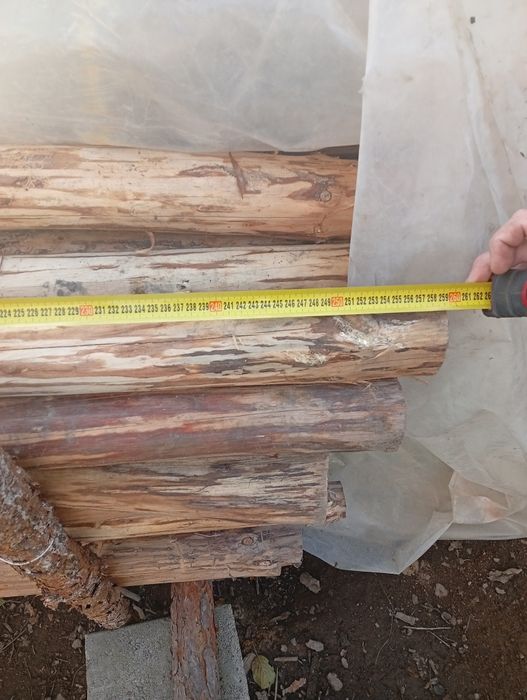 Nowe stemple budowlane