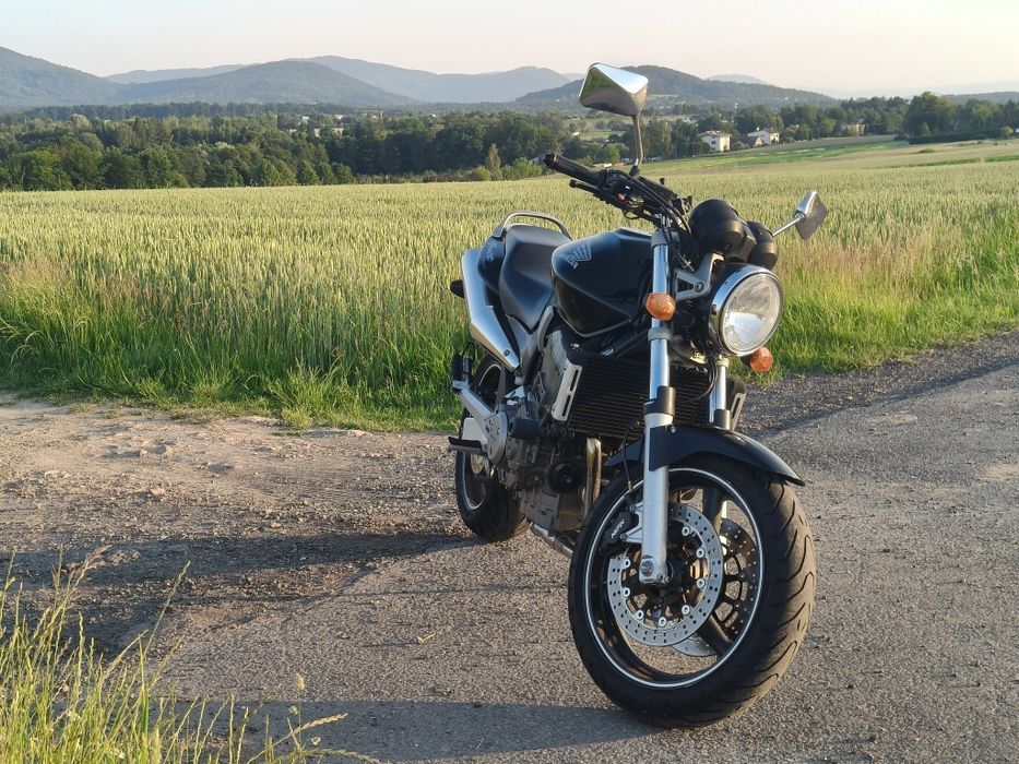 Hornet 900 Stinky