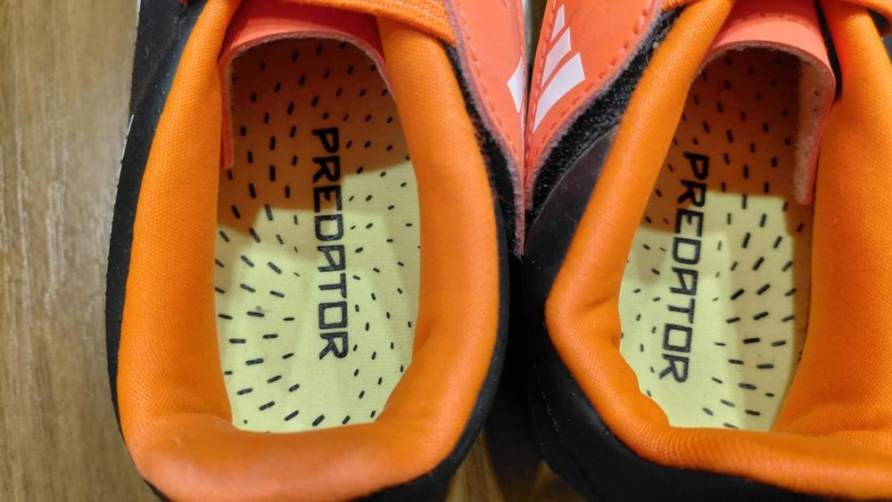 Halówki Adidas Predator 36