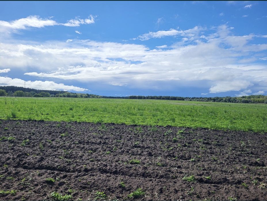 Продам Земельный пай в с. СПАССКОЕ, Днепр область, 20км от города