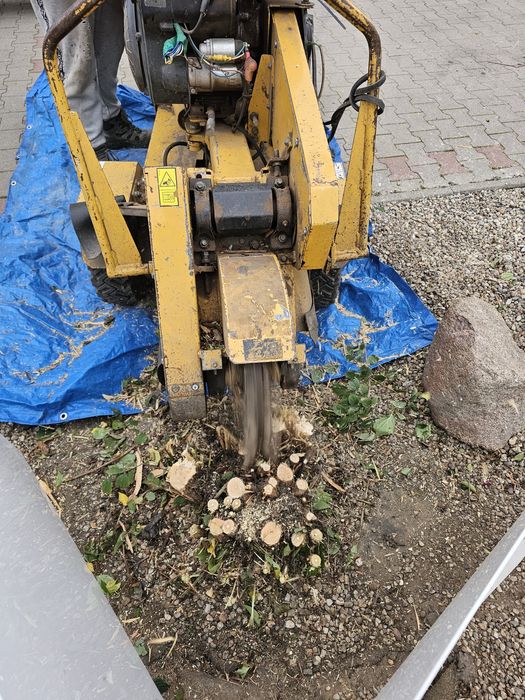 Wycinka pielęgnacja drzew krzewów
