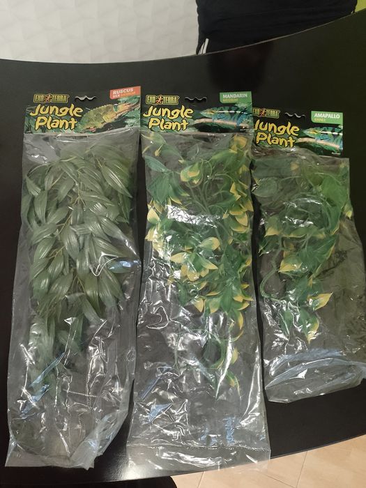 Rośliny do terrarium Exoterra  (NOWE)