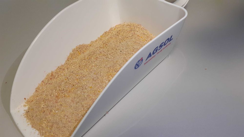 Kukurydza ziarno kiszone gniecione Corn Energy - cena brutto z dostawa