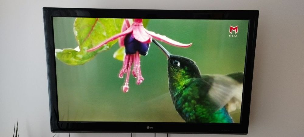 Телевізор     LG