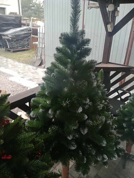 Choinka na PNIU sosna diamentowa OŚNIEŻONA 180 CM PRODUCENT premium!