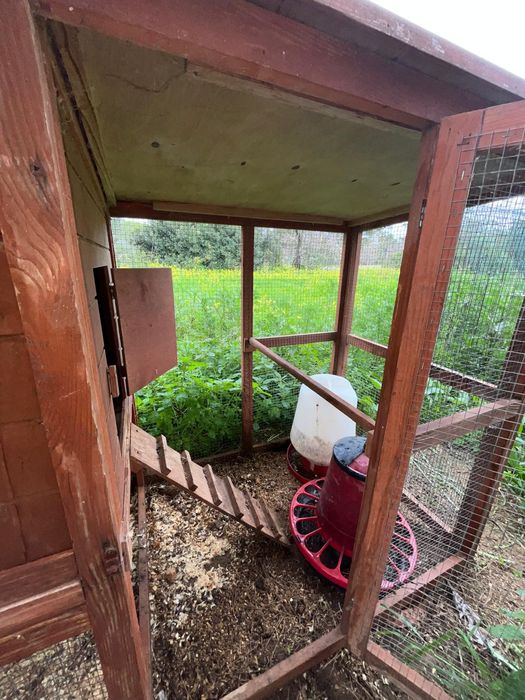 Galinheiro em bom estado