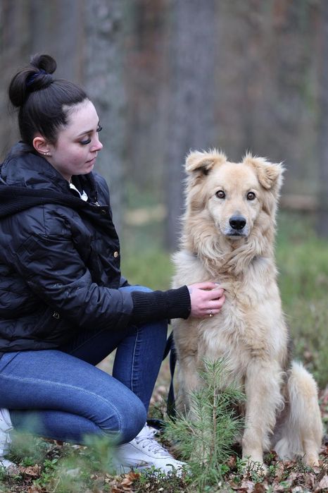 Piesek okolo 5 lat