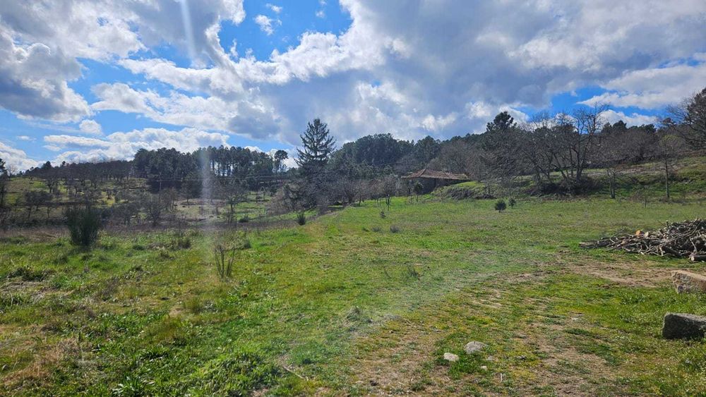 Terreno Frechão 2.2ha