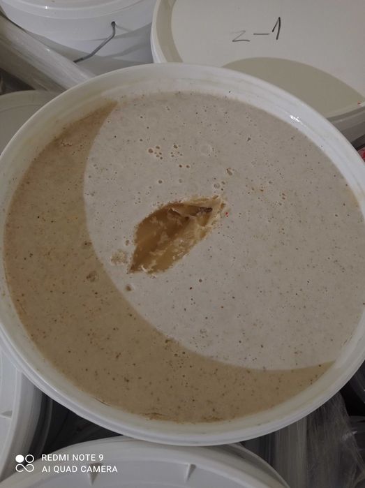 Sprzedam miód wielokwiatowy wiosenny