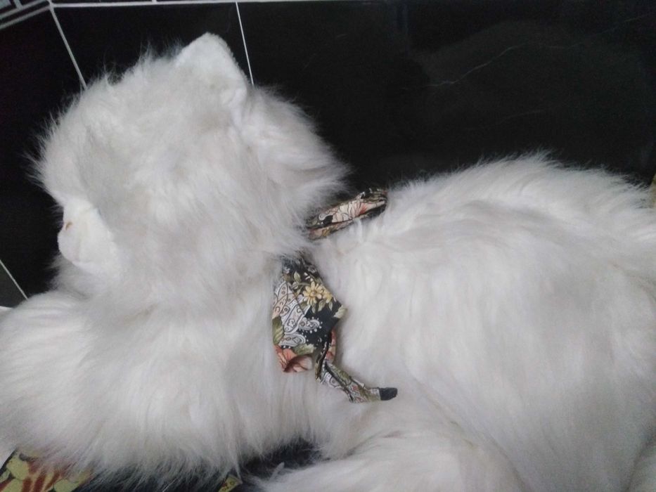 Peluche de Gatinho  ( 50 Cm ).