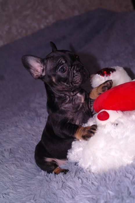 Балибейчик ждёт Вас