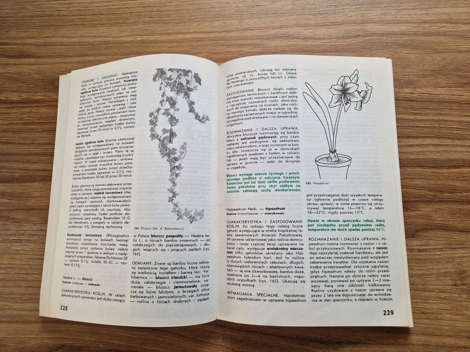 Kwiaciarstwo - B. Chlebowski, K. Mynett