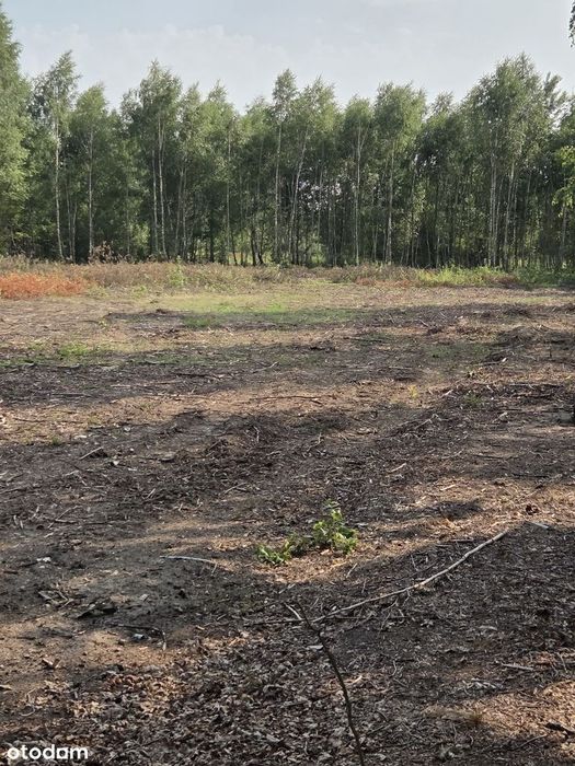 Działka pod inwestycję z dobrym dojazdem asfaltowym - Widok 2