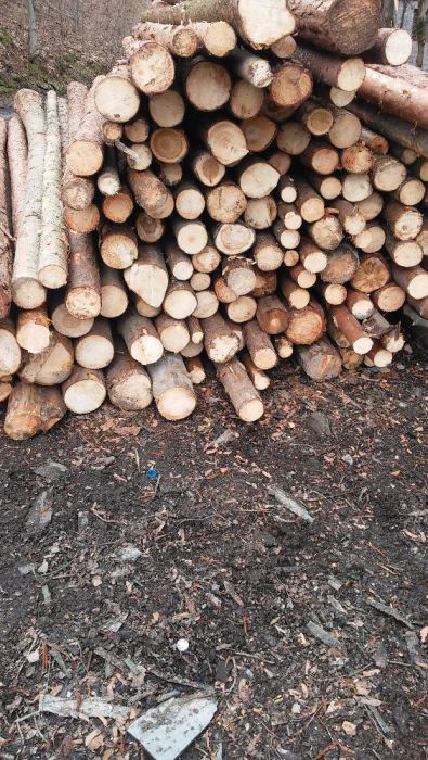 Więźba Dachowa Deski Stemple Solidnie na czas