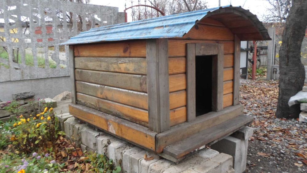 Собачья будка подороже и подешевле