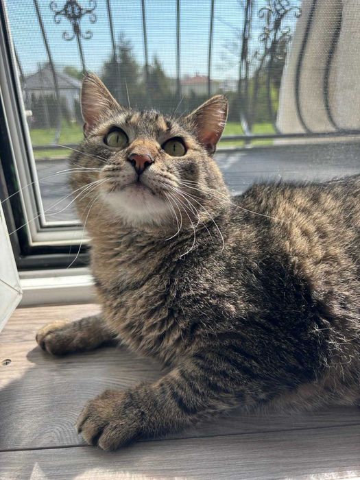 Boczek czyli 7 kg "mięśni" i miłości