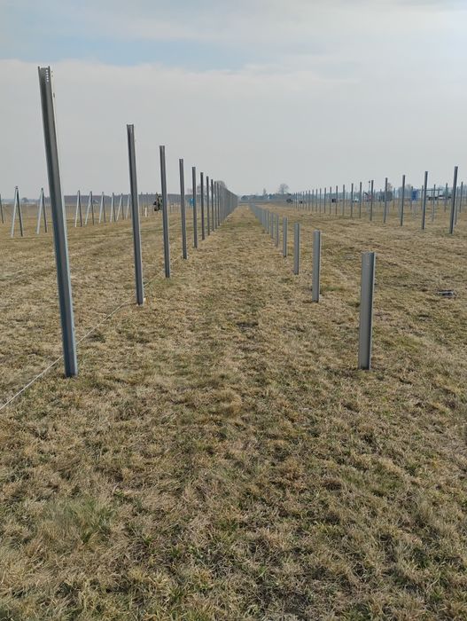 Kafarowanie/Palowanie/Wbijanie słupów  pod konstrukcję fotowoltaiczną