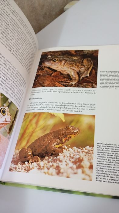 Coleção de 8 livros Segredos da Natureza