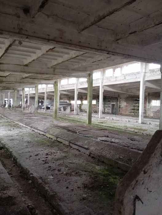Magazyn, Hala 1500 metrów kwadratowych, 8 wjazdów..