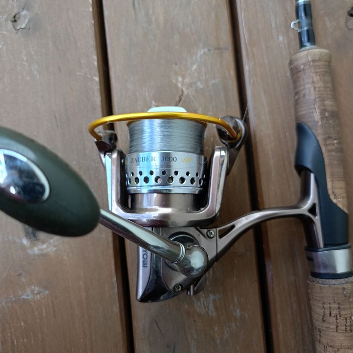 Ryobi Zauber 2000