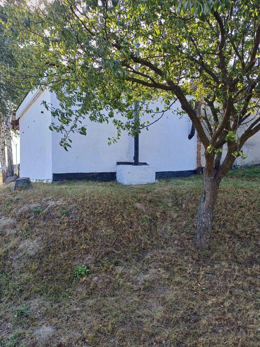 Гараж з підвалом