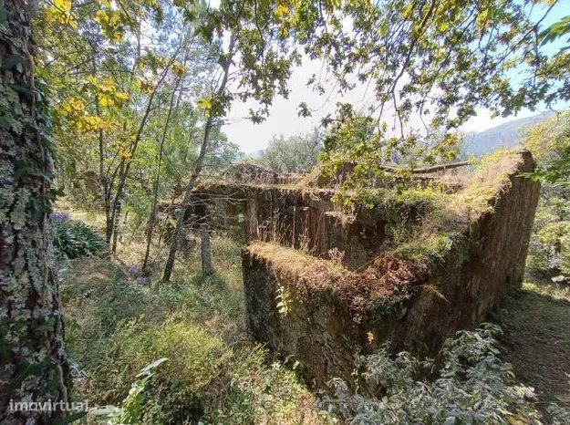 Quinta com 2 Hectares e Casa em Pedra para Recuperar em Gomide, Vila V