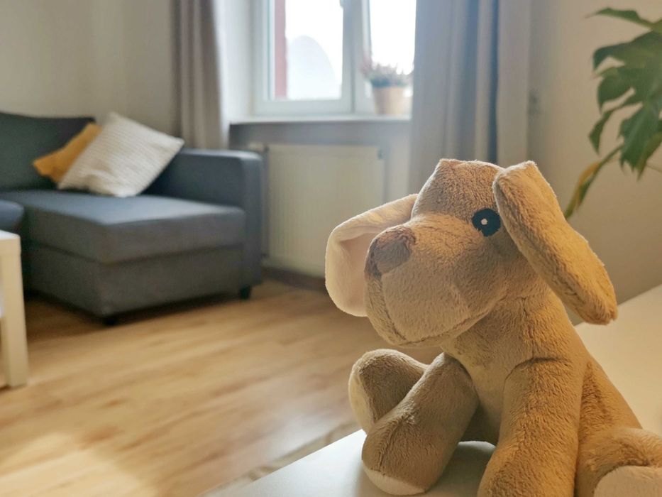 KAWALERKA wynajem - Gdynia - osobna DUŻA kuchnia - mieszkanie 35 m² ! - Więcej