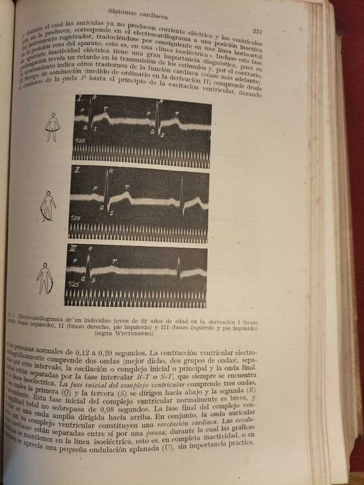 Livro Sintomatología de las enfermedades internas su valoración para el diagnóstico diferencial CXL6