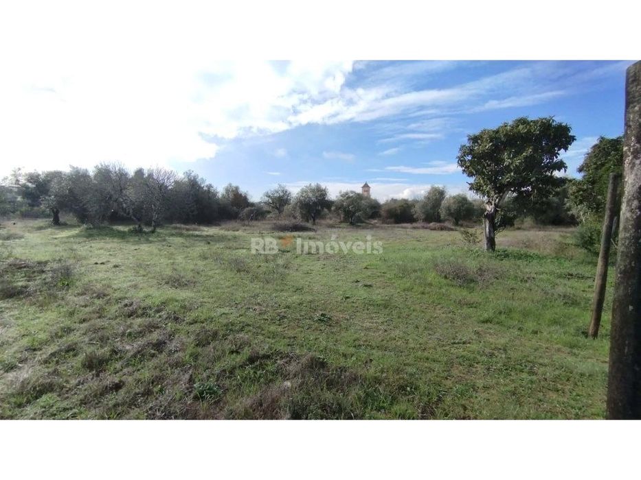 Terreno misto com 3080 m2, em Delongo
