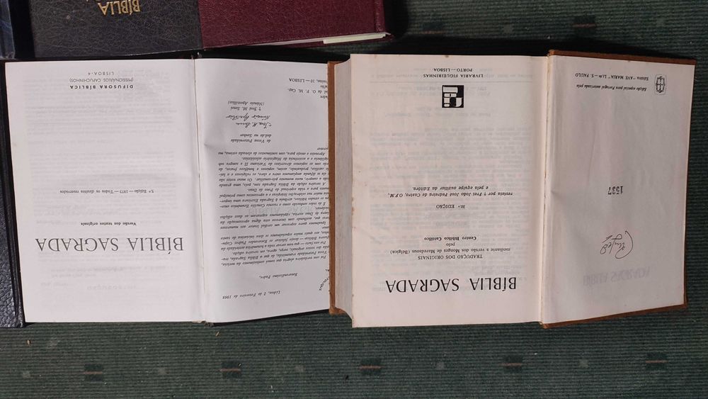 Lote 10 Biblias Diferentes Edições