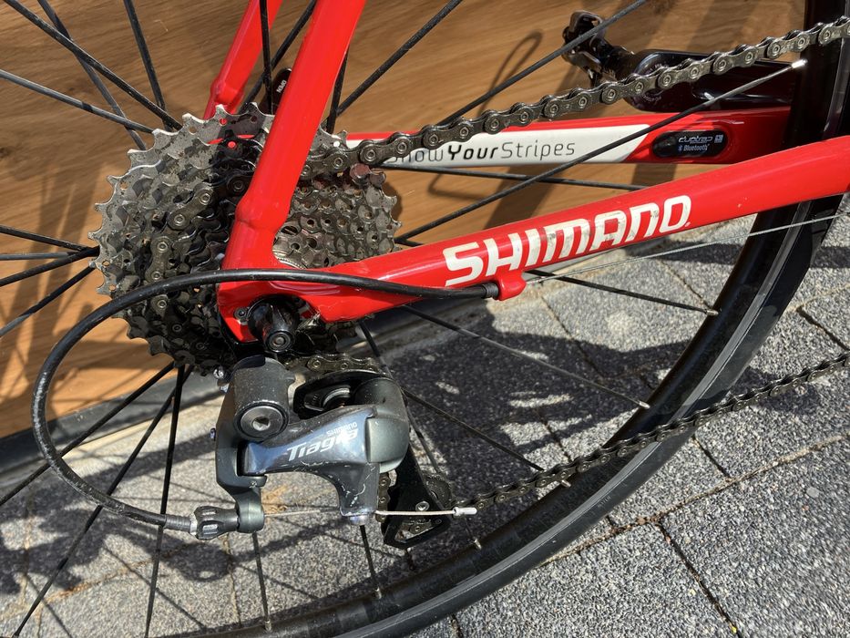Trek Domane ALR 4 szosa 54 cm