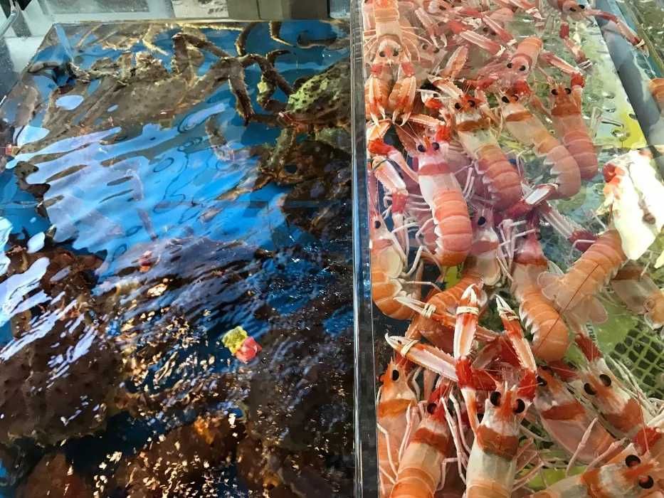 Vendo aquário para marisco