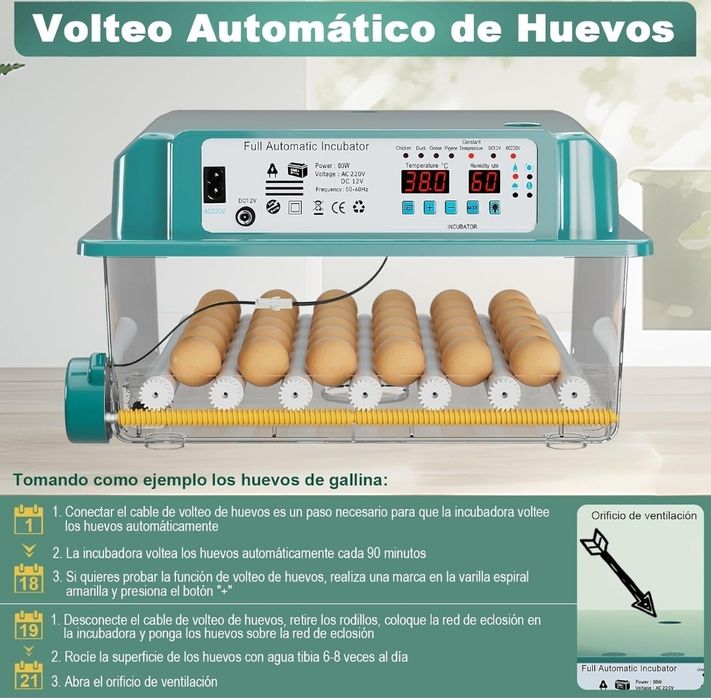 Incubadora Automática Transparente