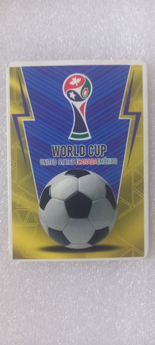 Erling Haaland World Cup