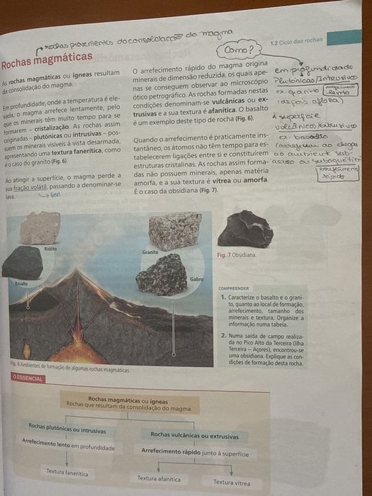 BioGeo 10 - Texto