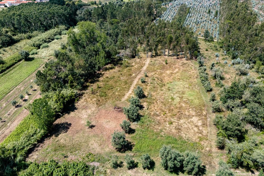 Vendem-se terrenos com viabilidade de construção ou para utilização agricula a partir de 20.000 euros.