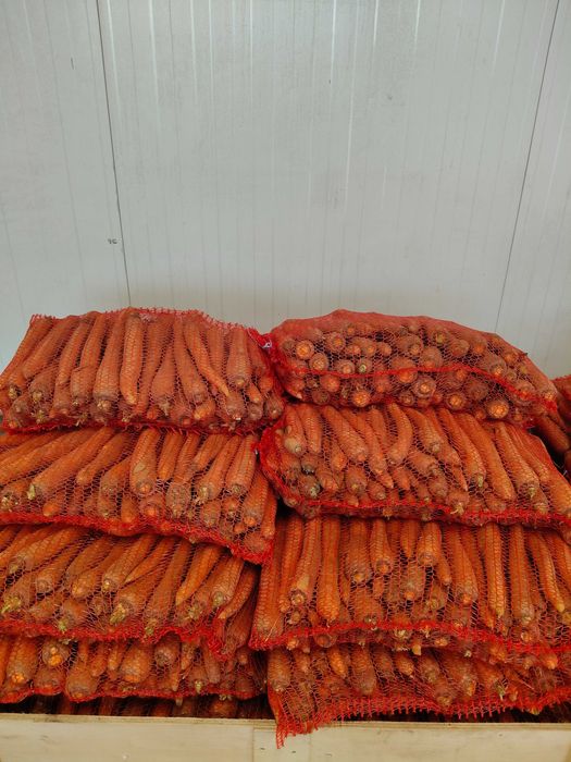 Marchewka 20zl/10kg