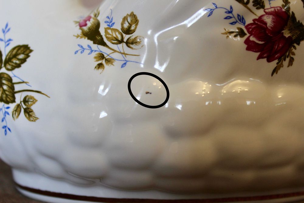 duży łabędź z porcelany * Chodzież
