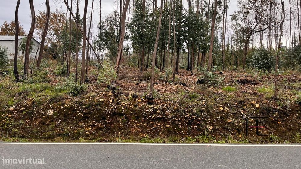 Terreno Para Construção  Venda em Macinhata do Vouga,Águeda — Macinhata do Vouga, Aveiro