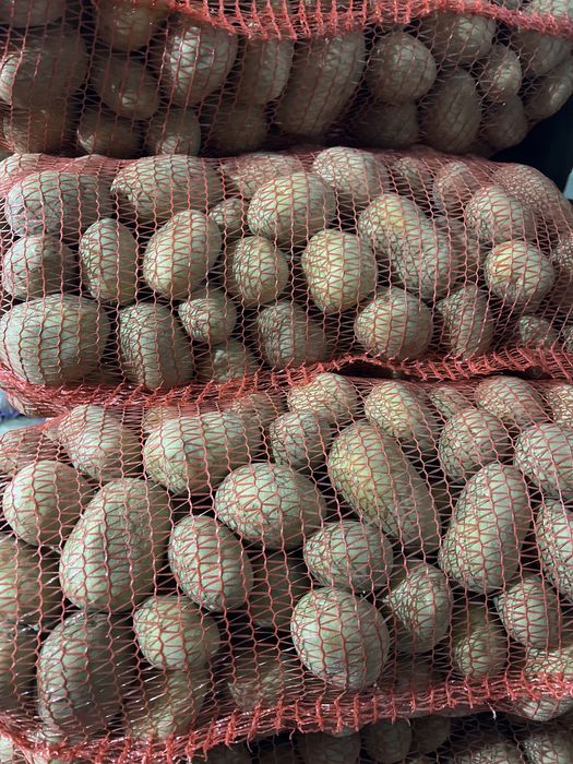 Домашня Картопля 15 грн. Кг.