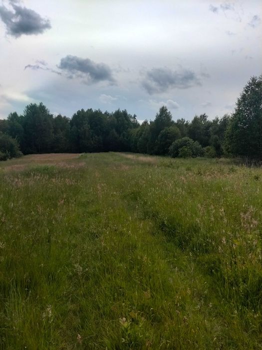 działka rolno  budowlana - Widok 6